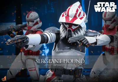 TMS 167 Sergeant Hound