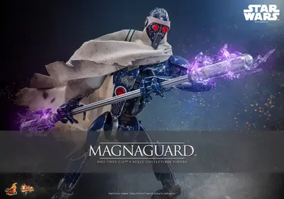 MMS 856 MagnaGuard
