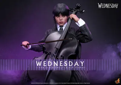 TMS 135 Wednesday