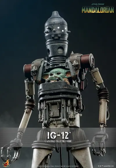 TMS 104 IG-12