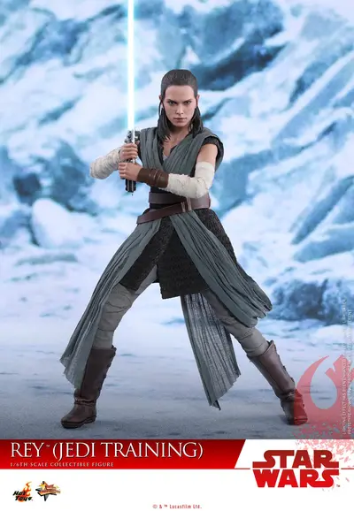 MMS 446 Rey (Jedi Training)