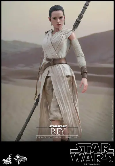 MMS 336 Rey