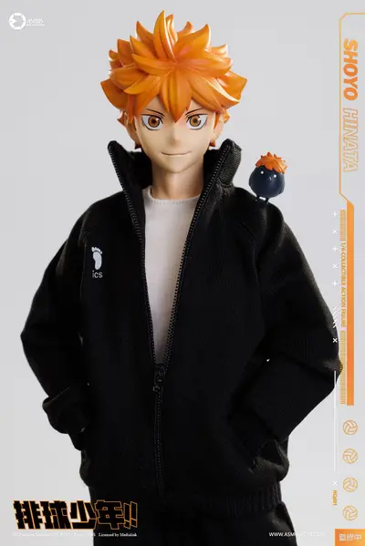 Haikyu: SHOYO HINATA LUXURY