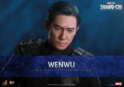 MMS 613 Wenwu