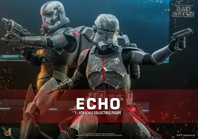 TMS 42 Echo