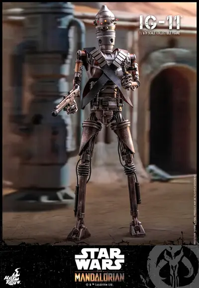 TMS 08 IG-11