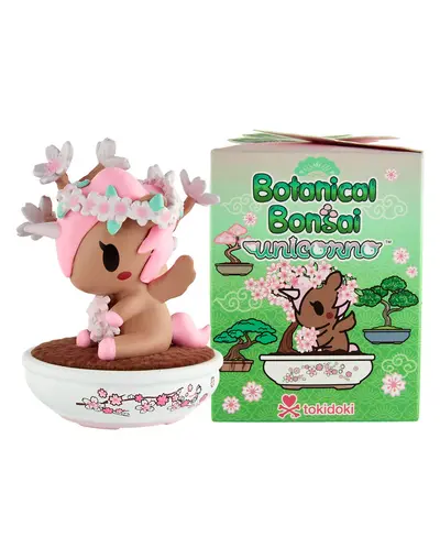 Sakura Bonsai