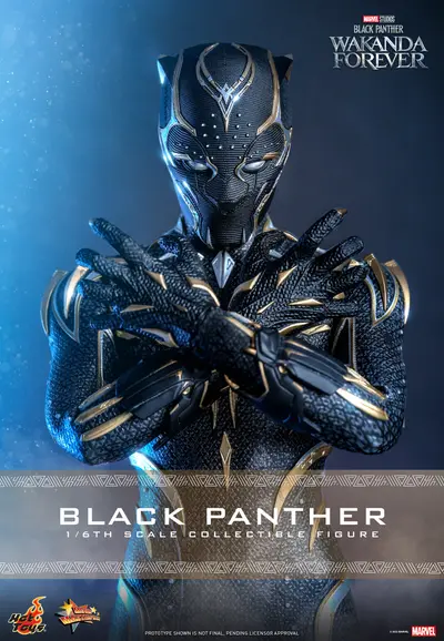 Black Panther : Wakanda Forever