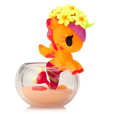 Sunset Coral