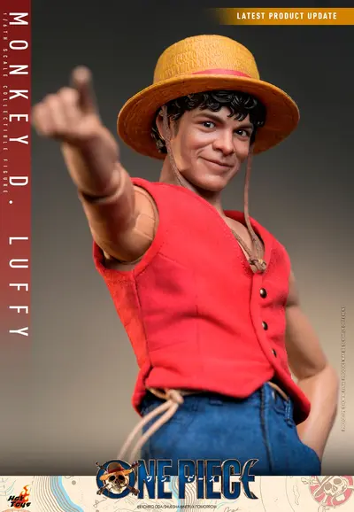 TMS 109 Monkey D. Luffy