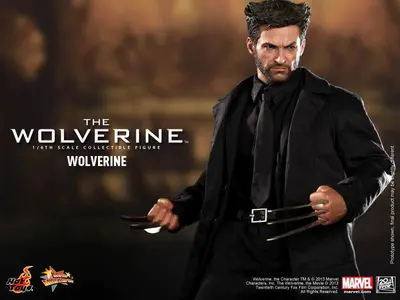 MMS 220 Wolverine