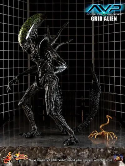Alien VS Predator