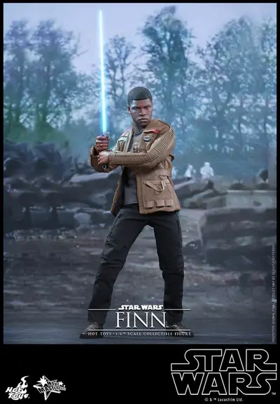 MMS 345 Finn