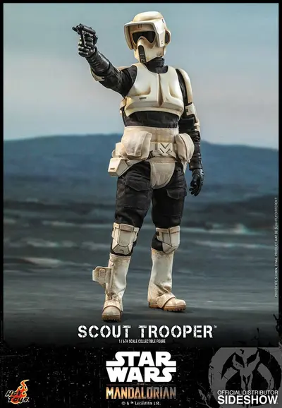 TMS 16 Scout Trooper
