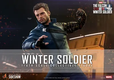 TMS 39 Winter Soldier