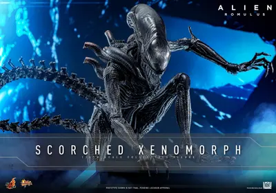 MMS 784 Scorched Xenomorph
