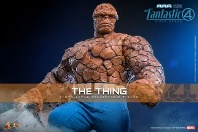 MMS 813 The Thing