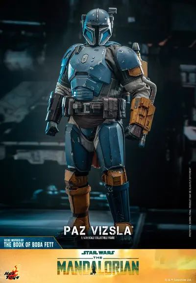 TMS 97 Paz Vizsla