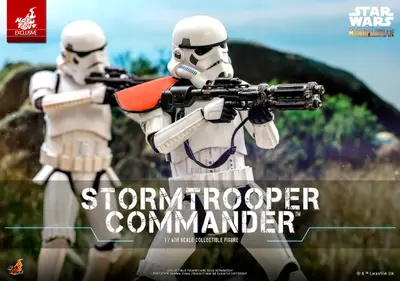 TMS 41 Stormtrooper Commander