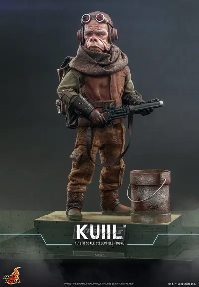 TMS 48 Kuiil