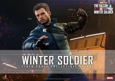 TMS 39 Winter Soldier