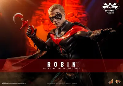 MMS 787 Robin