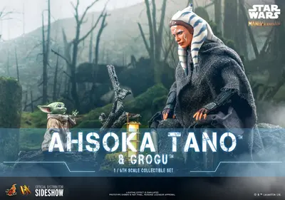 DX 21 Ahsoka Tano and Grogu