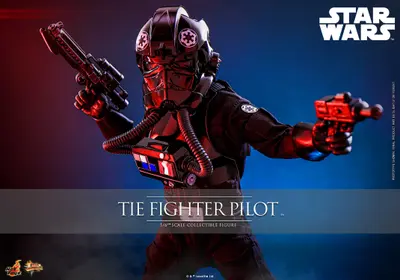 MMS 798 TIE fighter Pilot