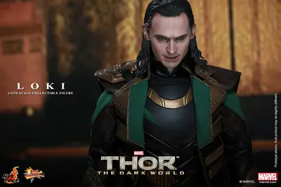 MMS 231 Loki