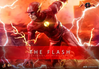 MMS 713 The Flash
