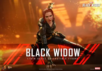 MMS 603 Black Widow