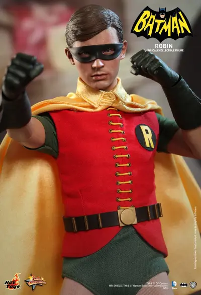 MMS 219 Robin