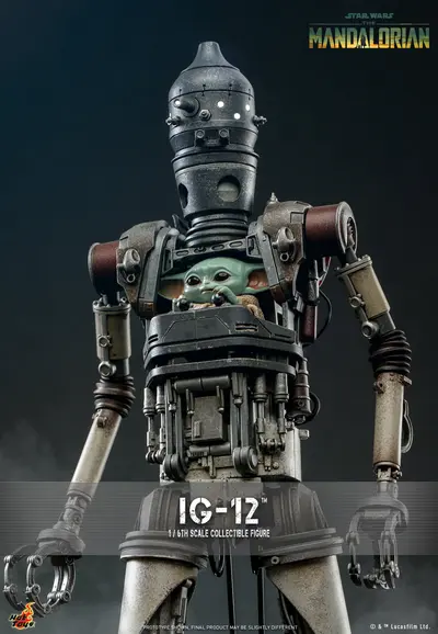 TMS 105 Ig 12 Deluxe